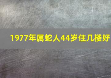 1977年属蛇人44岁住几楼好