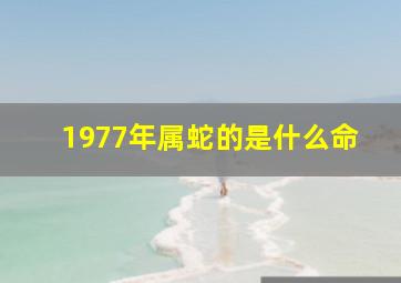 1977年属蛇的是什么命