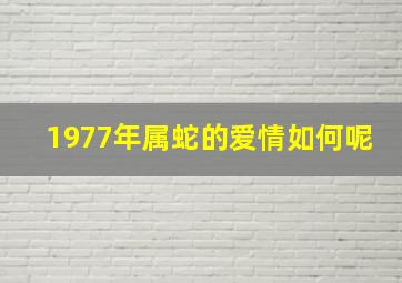 1977年属蛇的爱情如何呢