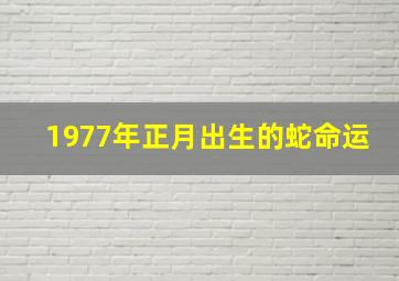 1977年正月出生的蛇命运