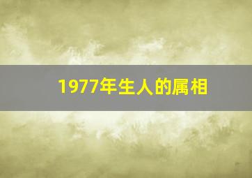 1977年生人的属相