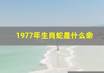 1977年生肖蛇是什么命