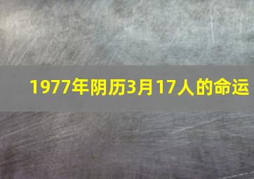 1977年阴历3月17人的命运