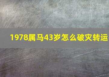 1978属马43岁怎么破灾转运