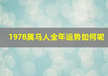 1978属马人全年运势如何呢