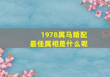 1978属马婚配最佳属相是什么呢