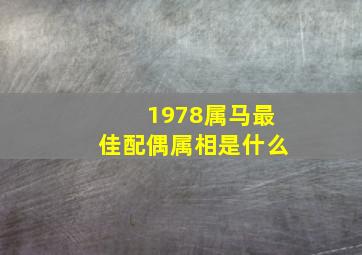 1978属马最佳配偶属相是什么