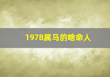 1978属马的啥命人