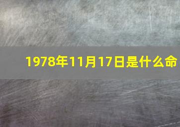 1978年11月17日是什么命