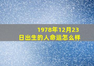 1978年12月23日出生的人命运怎么样