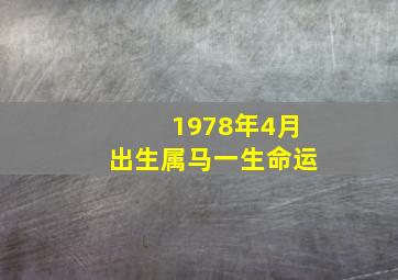 1978年4月出生属马一生命运