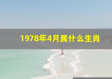 1978年4月属什么生肖