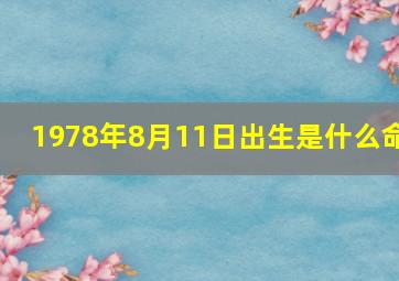 1978年8月11日出生是什么命