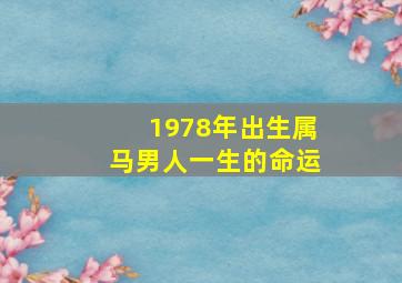 1978年出生属马男人一生的命运