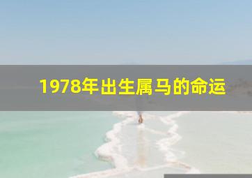 1978年出生属马的命运