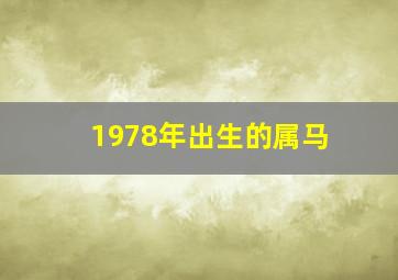 1978年出生的属马