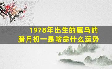 1978年出生的属马的腊月初一是啥命什么运势