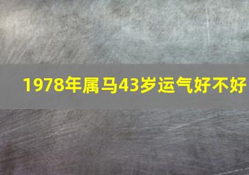 1978年属马43岁运气好不好