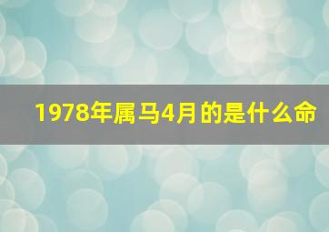 1978年属马4月的是什么命