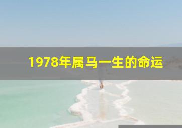 1978年属马一生的命运