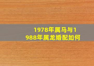 1978年属马与1988年属龙婚配如何