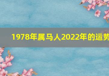 1978年属马人2022年的运势