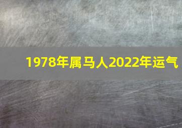 1978年属马人2022年运气