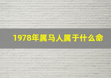 1978年属马人属于什么命