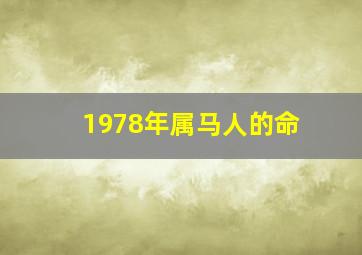 1978年属马人的命