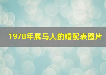 1978年属马人的婚配表图片