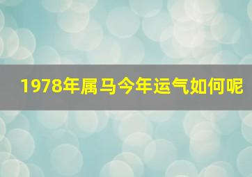 1978年属马今年运气如何呢