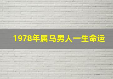 1978年属马男人一生命运