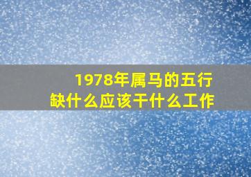 1978年属马的五行缺什么应该干什么工作