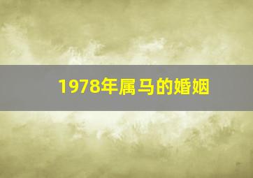 1978年属马的婚姻