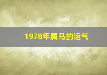 1978年属马的运气