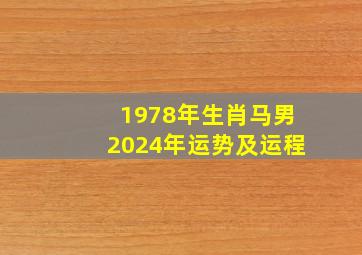 1978年生肖马男2024年运势及运程