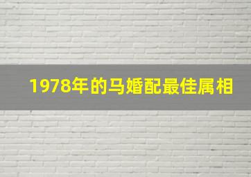 1978年的马婚配最佳属相