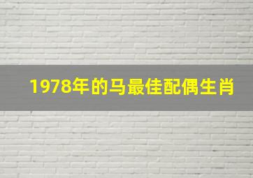 1978年的马最佳配偶生肖