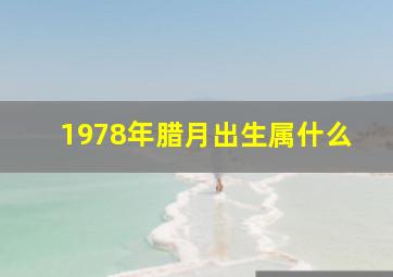 1978年腊月出生属什么