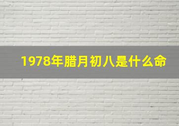 1978年腊月初八是什么命