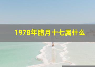 1978年腊月十七属什么