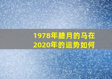 1978年腊月的马在2020年的运势如何