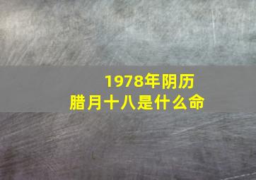 1978年阴历腊月十八是什么命