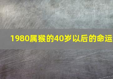 1980属猴的40岁以后的命运