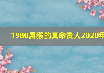 1980属猴的真命贵人2020年