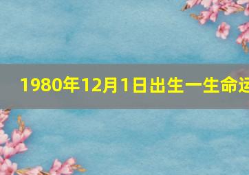 1980年12月1日出生一生命运