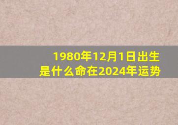 1980年12月1日出生是什么命在2024年运势