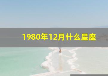 1980年12月什么星座