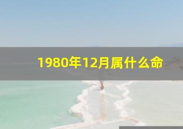 1980年12月属什么命