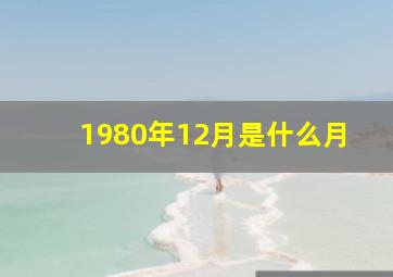 1980年12月是什么月